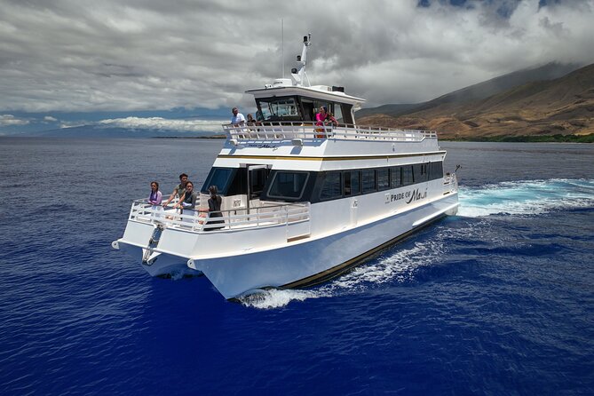 Whale Watch and Turtles Snorkel - A half-day on Maui’s open water