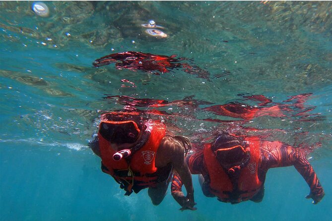 Whale Watch by Kayak-No Time Limit - Guides who keep the morning personal