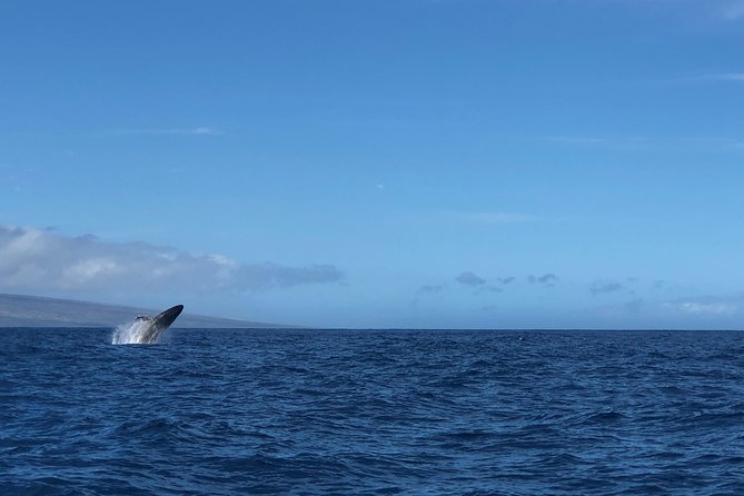 Whale Watching Experience - Meeting the crew at Kaanapali Beach