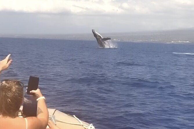 Whale Watching Tour on a Charming Hawaiian Catamaran From Maalaea - What Happens During the 2.5-Hour Trip
