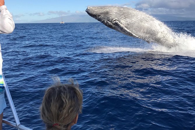 WHALES GUARANTEED Maui Whale Watching Makai Adventures - Meeting the boat at Mala Boat Ramp