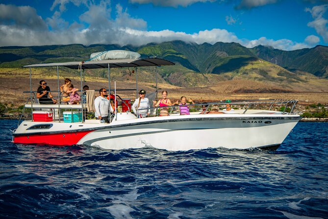WHALES GUARANTEED Maui Whale Watching Makai Adventures - What makes the boat comfortable