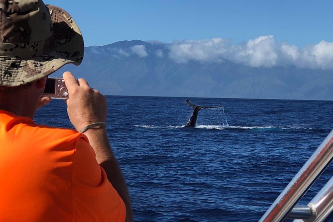 WHALES GUARANTEED Maui Whale Watching Makai Adventures - Who will enjoy this most